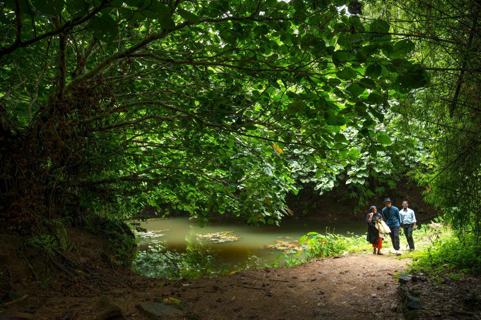 Rivulet Resort Munnar Dış mekan fotoğraf